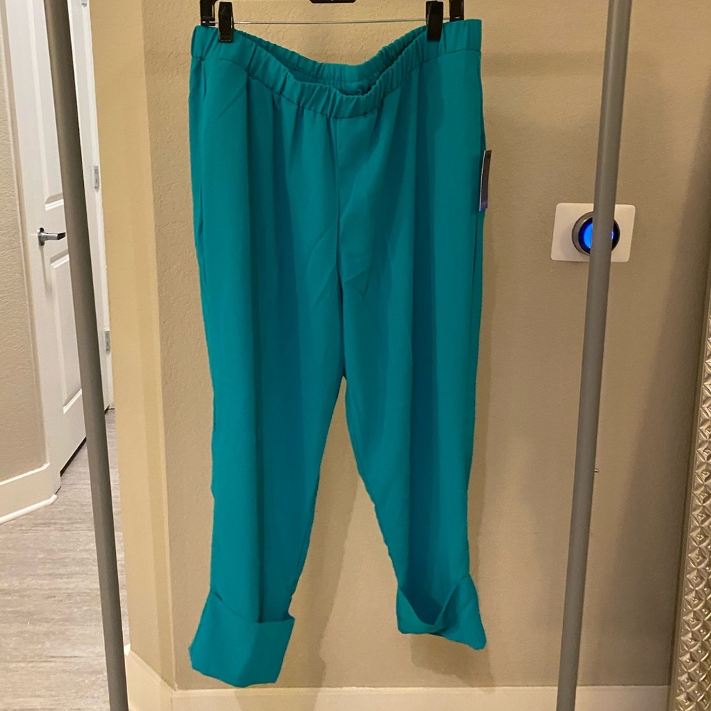 Eloquii teal pants
